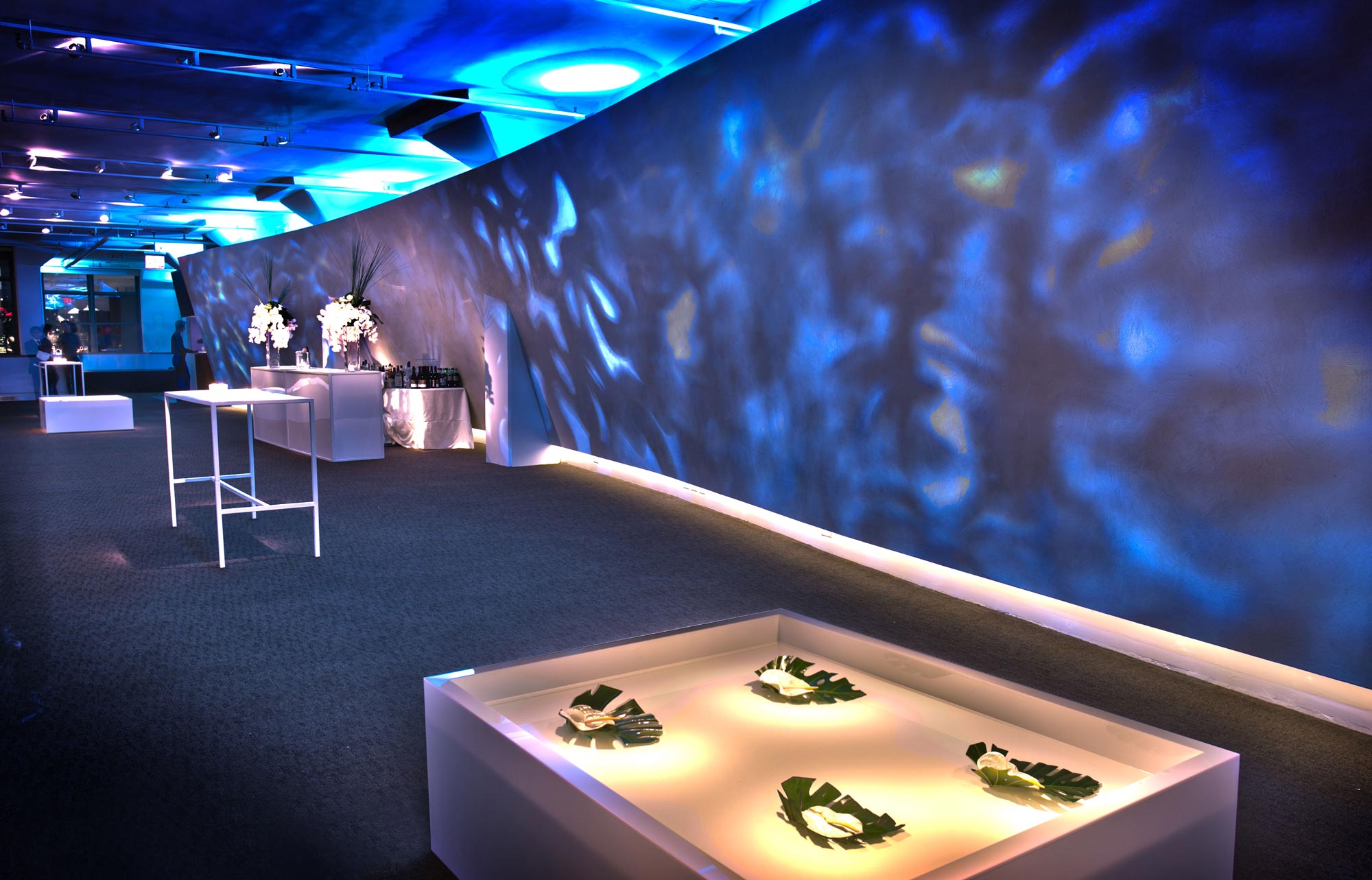 Premier Event Space | Tribeca 360°